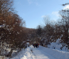 20170122_dilj_gora_004