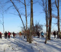 20170122_dilj_gora_024