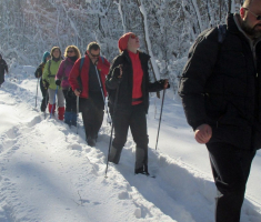 20170122_dilj_gora_037
