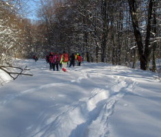20170122_dilj_gora_043