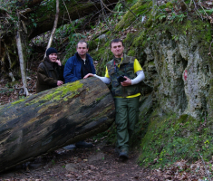 20090322_papucki_jaglaci_005