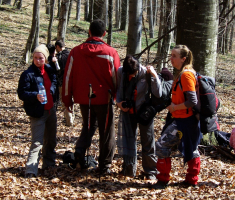 20090322_papucki_jaglaci_007
