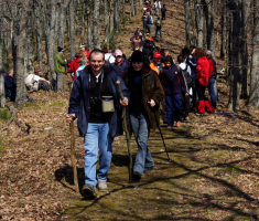 20090322_papucki_jaglaci_014