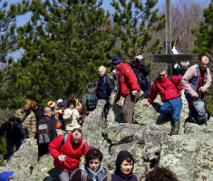 20090322_papucki_jaglaci_015