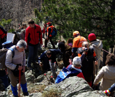 20090322_papucki_jaglaci_018