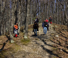20090322_papucki_jaglaci_021