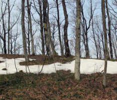 33_papucki_jaglaci_015