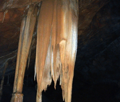 20170422_bih_008