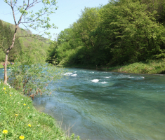 20170422_bih_014