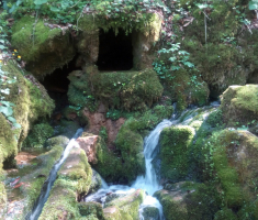 20170422_bih_016