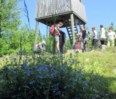 20160522_papuk_024