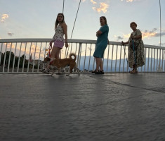 20260822_sunset_run_090