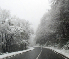 20151122_krndija_005