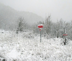 20151122_krndija_008