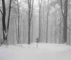 20151122_krndija_013
