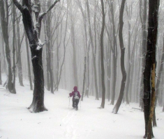 20151122_krndija_027