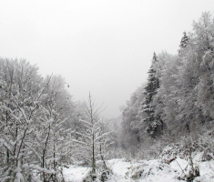 20151122_krndija_036