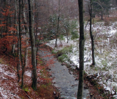 20151122_krndija_042