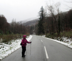 20151122_krndija_043