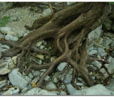 svetobrdo_00038