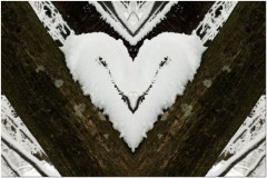 23.01.2011. Papuk
