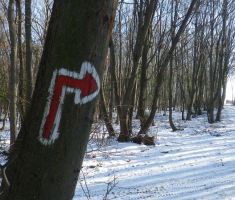 20160123_valentin_zagar_008