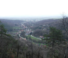 20250323_papucki_jaglaci_059
