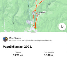 20250323_papucki_jaglaci_165