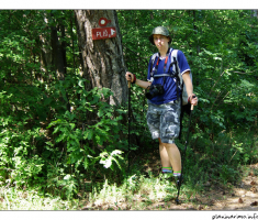 869
