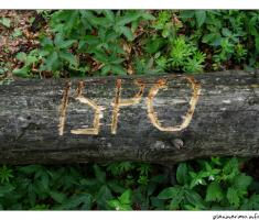 ISPO