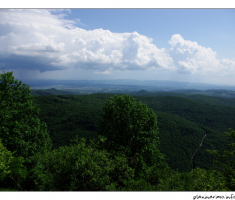 pogled