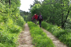 23.05.2015. - Učka [Ivan Lončarić]