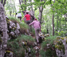 20150524_113457