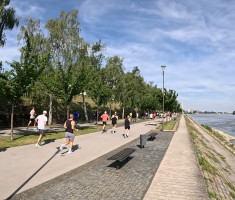 20260523_vukovar_half_marathon_028