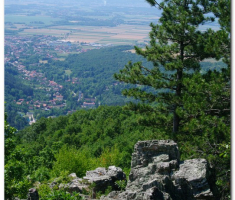 velika_016