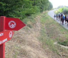 20170723_borovik_004
