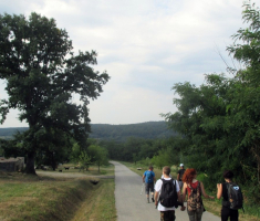20170723_borovik_007