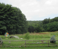 20170723_borovik_040