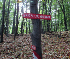 20150823_krndija_007
