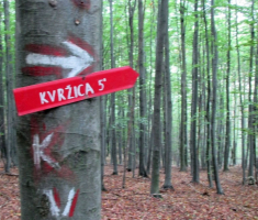 20150823_krndija_009