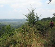 20150823_krndija_045