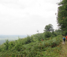 20150823_krndija_048