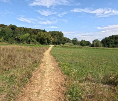 20250823_robin_koprivnica_trail_086