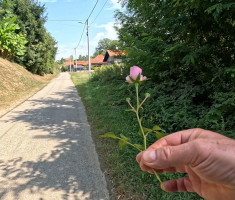 20250823_robin_koprivnica_trail_088