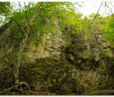papuk_stjenjal_00002