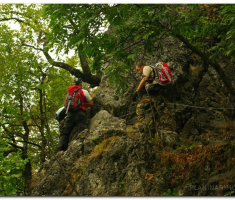 papuk_stjenjal_00007