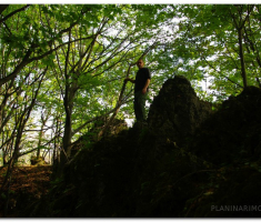 papuk_stjenjal_00035