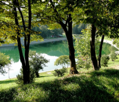 20150923_davor_matas_001