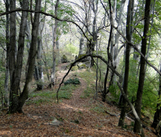 20150923_davor_matas_032