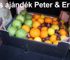 20161023_mecsek_005